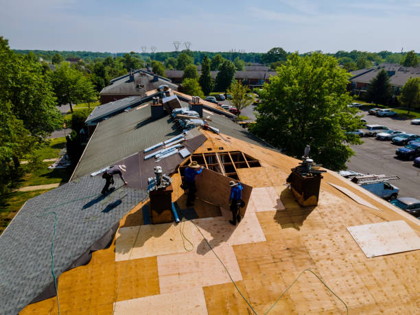 Quick and Trustworthy Emergency Roof Repair Services in Erie, PA
